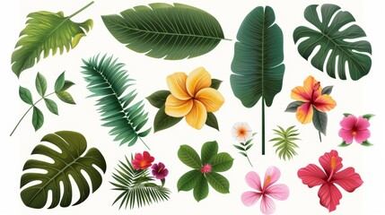 Wall Mural - Various tropical leaves including palms, banana leaves, hibiscus, plumeria flowers.