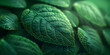 Green leaf background close up view, nature foliage abstract of texture for showing concept of green business and ecology, 3d illustration.