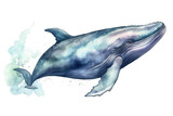 Fototapeta Dziecięca - white blue isolated illustration Watercolor background whale