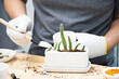 man plant baby cactus in small white pot