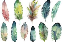 Drawn Hand Vector Feathers Set Watercolor