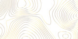 Fototapeta Przestrzenne - Topographic map background geographic line map pattern .panorama view golden color wave curve lines .geographic mountain relief abstract grid .the concept map of a conditional geography map .