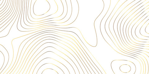 Topographic map background geographic line map pattern .panorama view golden color wave curve lines .geographic mountain relief abstract grid .the concept map of a conditional geography map .