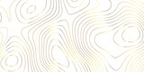 Fototapeta Do przedpokoju - Topographic map background geographic line map pattern .panorama view golden color wave curve lines .geographic mountain relief abstract grid .the concept map of a conditional geography map .