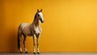 Horse Against Monochrome Wall