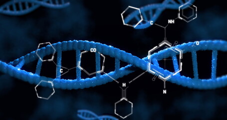 Image of dna rotating over chemical formulas on black background