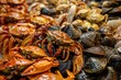 Crustaceans for Sale in Barcelona Market - A Variety of Fresh Seafood Including Crab, Clams and Bream