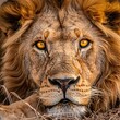 © Mandeep - Lion's Eye - A captivating image of a lion's eye with a yellow glare, perfect for capturing the essence of the lion's gaze and the beauty of its eye. Generative AI