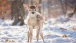 Fall Fawn A Deer's Adorable Antics in the Snow Generative AI