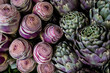 details of artichoke in roma's market 