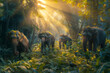 Elefanten in der Wildnis - Elefantenfamilie im Dschungel