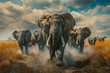 Elefanten in der Wildnis - Herde von vorn 