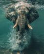 Elefanten in der Wildnis - Elefant unter Wasser