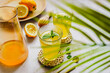 Sommer Getränk mit Zitrone in zwei Gläsern und ein Palmblatt im Vordergrund. Erfrischung.