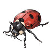 a drawing of a ladybug with a black spot on the back.
