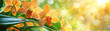Banner with vibrant yellow orchids flowers. Generative AI