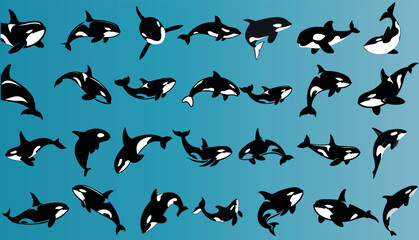 Wall Mural - orca silhouette, killer whales orca vector illustration, sea animals on blue background. ideal for f