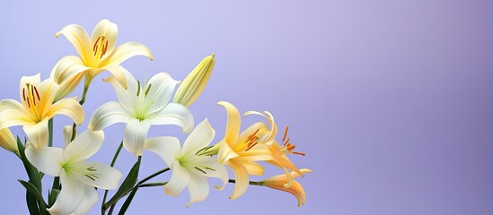 Wall Mural - Elegant Vase Adorned with Graceful White and Yellow Blooms in a Serene Floral Arrangement