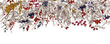 Seamless Horizontal Pattern Of Forest Berries. Cornus Sanguinea, Sea Buckthorn, Rose Hips, Ligustrum, Hawthorn, Elderberry, Paris Quadrifolia, Lily Of The Valley Berries, Euonymus