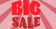 Image of big sale text banner over radial rays spinning in seamless pattern on pink background