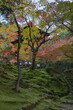 日本　滋賀県犬上郡甲良町にある西明寺の三重塔と紅葉