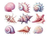 Digital Drawing Realistic Beautiful Sea Shells Of Various Colors And Textures Isolated On A Transparent Background. Blue, Pink And Beige Shades.