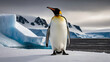 King Penguin (Aptenodytes patagonicus). contrast of its sleek black and white plumage, and the regal posture as it stands amidst the Antarctic landscape. Generative Ai.