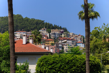 Wall Mural - Southern cityscape, view of buildings and houses, palm trees and mountains, in public places in Turkey, sunny summer day in a resort town