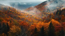Vibrant Autumn Foliage Blankets The Scenic Landscapes Of New Hampshire, New England