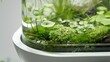 Detailed view of a pristine Biotope aquarium highlighting water clarity, aquarium