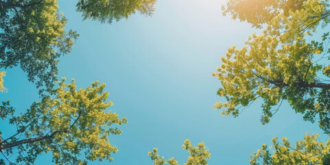 green leaves and sky, Clear blue sky and green trees seen from below. Carbon neutrality concept presented in a vertical format. Pictures for Earth Day or World Environment Day desktop backgrounds.