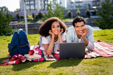 Poster - Photo of two friendly nice buddies lying blanket grass use laptop prepare exam test downtown park outside