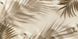 A sand background with palm leaves shadows, summer and holiday backgrounds banner