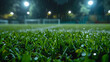Rain drops on the green grass at night in football stadium, defocused background.
