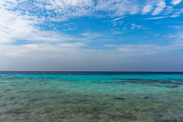 Wall Mural - Swimming off Boka Hulu the caribbean island of Curacao