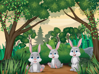 Wall Mural - Cute three rabbits cartoon in the jungle