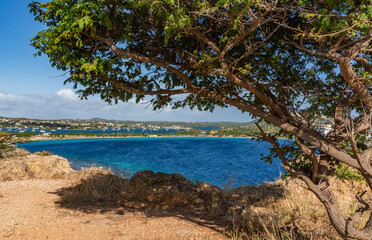 Wall Mural - Views around Curacao and the Capital Willemtad