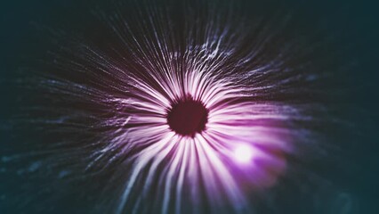 Poster - Shockwave Explosion Background Fx Intro/ Animation of an abstract explosion background intro with shockwave stardust fractal particles