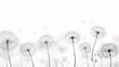 Abstract x-ray of dandelions on a white background