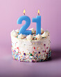 A festive delicious birthday cake with number 21 candle - Twenty One Years