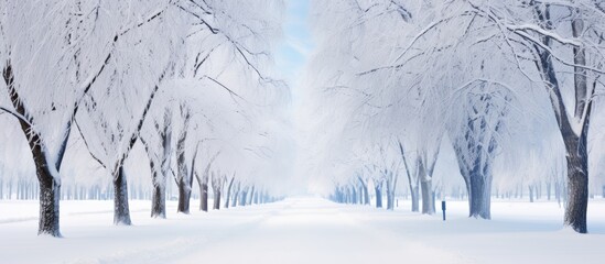 Poster - Tranquil Winter Scene: Snow Blanketed Trees in Serene Cold Landscape