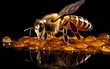 Close up bee eating honey and caramel on black mirror