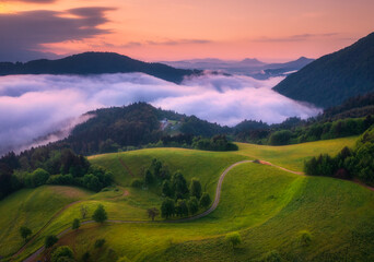 Wall Mural - Aerial view of alpine meadows and mountains in low purple clouds at sunrise in summer. Top drone view of hills with green grass and trees in fog, colorful red sky in Slovenia. Nature. Mountain valley