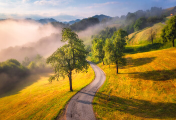 Wall Mural - aerial view of rural road in mountains in summer foggy morning. nature. landscape with road, green t