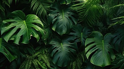 Aufkleber - A pile of green leaves stacked on top of each other. Suitable for nature and environmental concepts