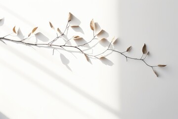 Poster - A branch with leaves against a white wall, suitable for nature or minimalist concepts