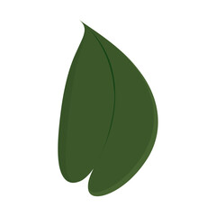 Poster - Tree leaf colored icon Vector