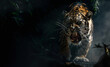 roaring angry tiger over a dark background with copy space
