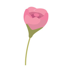 Poster - Colored flower icon Spring season Vector