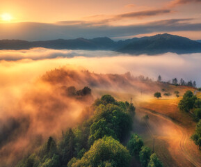 Wall Mural - aerial view of alpine meadows and mountains in low pink clouds at colorful sunrise